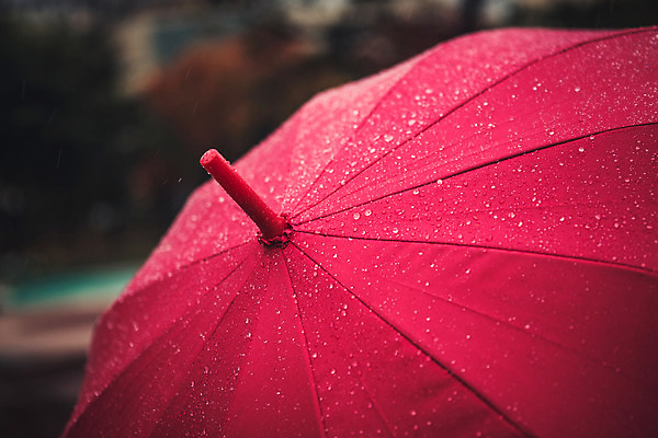 포토 JPG 주간 백그라운드 우산 풍경 사람없음 야외 가을 비 빗방울 흐림 국내포토 자연요소 계절 날씨 비_날씨 파일형식