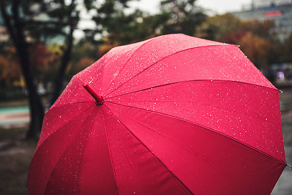 포토 JPG 주간 백그라운드 우산 풍경 사람없음 야외 아웃포커스 가을 비 흐림 국내포토 자연요소 계절 날씨 촬영기법 파일형식