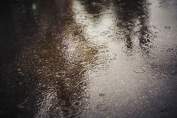 포토 JPG 주간 백그라운드 바닥 풍경 사람없음 야외 가을 비 빗방울 흐림 국내포토 자연요소 계절 날씨 비_날씨 파일형식