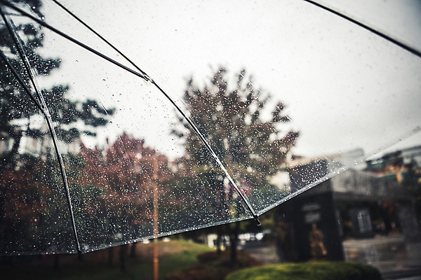 포토 JPG 주간 백그라운드 우산 풍경 사람없음 야외 가을 비 흐림 국내포토 자연요소 계절 날씨 파일형식