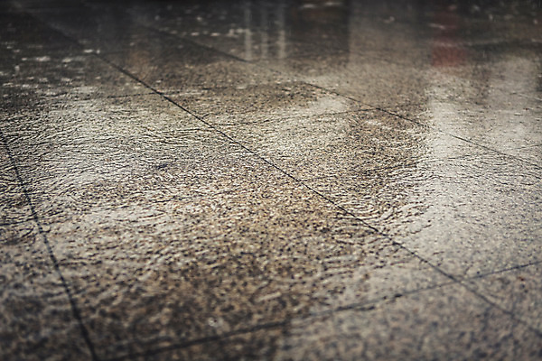 포토 JPG 주간 백그라운드 바닥 풍경 사람없음 야외 가을 비 흐림 국내포토 자연요소 계절 날씨 파일형식