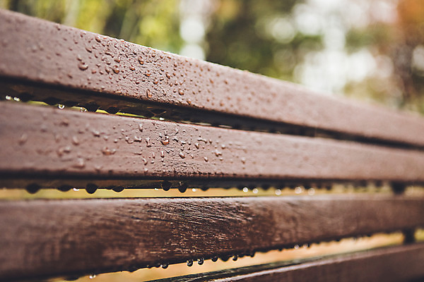 포토 JPG 주간 백그라운드 벤치 풍경 사람없음 야외 가을 비 빗방울 흐림 국내포토 자연요소 계절 의자 날씨 비_날씨 파일형식