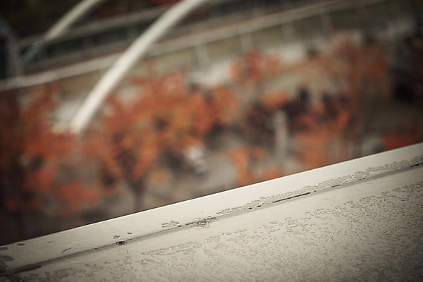 포토 JPG 주간 백그라운드 난간 풍경 사람없음 야외 아웃포커스 가을 비 빗방울 흐림 판교 국내포토 자연요소 계절 날씨 촬영기법 비_날씨 분당 파일형식