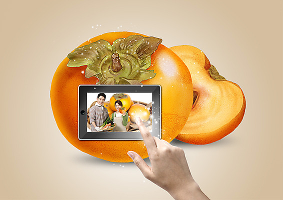 PSD 편집이미지 손 여자 남자 40대 과일 한손 감 상반신 성인 신체부위 세명 태블릿 터치 한국인 농부 주부 이미지편집 직업 중년 사람 동양인 전자제품 스마트기기 파일형식