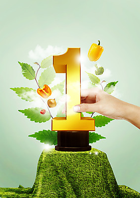 PSD 편집이미지 1 손 잎 방울토마토 양파 피망 파프리카 한손 한명 잔디 신체부위 숫자 잡기 브로콜리 천 이미지편집 식물 문자 토마토 채소 모션 사람 직물 파일형식