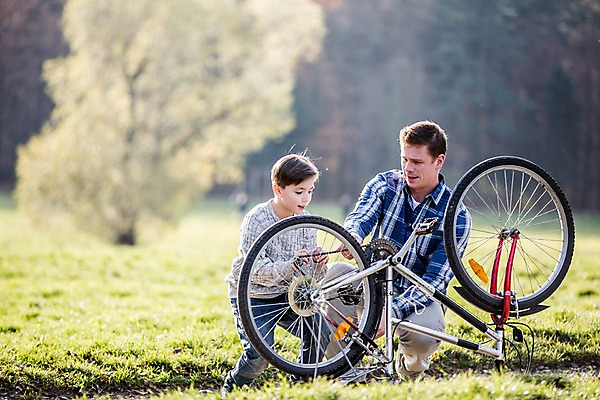 포토 JPG 주간 서양인 나무 공원 남자 아들 어린이 성인 야외 두명 자전거 아빠 수리 점검 부자지간 국내포토 자연요소 외국인 식물 공공시설 가족 사람 바이크 파일형식