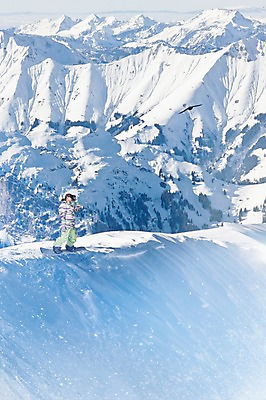 JPG 주간 편집이미지 여자 겨울 조류 스키장 산 한명 20대 성인 야외 눈 스노우보드 디지털합성 겨울산 스노보드복 디지털아트 성인여자만 편집실사 자연요소 동물 1 계절 날씨 사람 청년 보드_스포츠 CG 여자만 성인만 파일형식