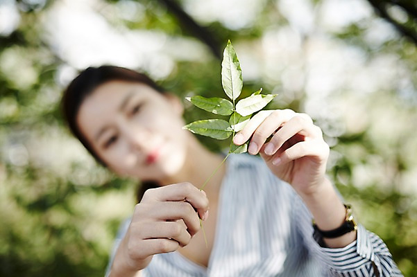 포토 JPG 주간 공원 여자 잎 한명 들기 상반신 20대 성인 야외 앞모습 아웃포커스 한국인 비즈니스우먼 싱글라이프 성인여자한명만 국내포토 자연요소 식물 1 라이프스타일 공공시설 뷰포인트 비즈니스 모션 촬영기법 사람 동양인 청년 직장인 여자한명만 성인여자만 파일형식