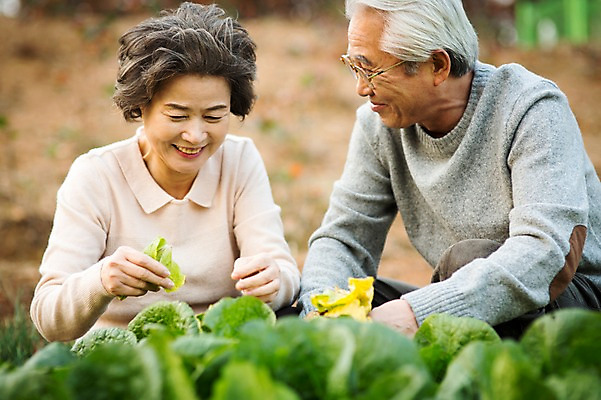포토 JPG 주간 여자 할아버지 노년 남자 할머니 여유 미소 앉기 상반신 야외 두명 앞모습 실버라이프 노부부 다정 한국인 60대 배추 원예 배추재배 노인만 국내포토 자연요소 라이프스타일 부부 감정 뷰포인트 컨셉 채소 모션 표정 사람 동양인 성인 취미 성인만 파일형식