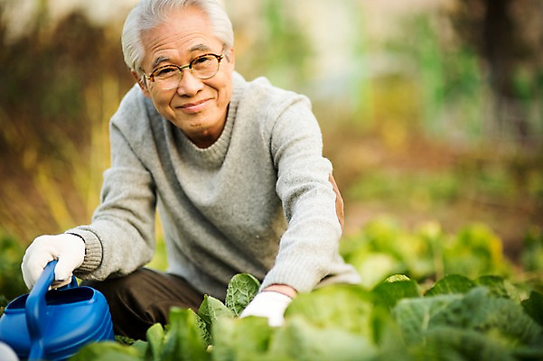 포토 JPG 주간 할아버지 노년 남자 여유 한명 미소 들기 앉기 상반신 야외 앞모습 실버라이프 물뿌리개 한국인 60대 배추 원예 배추재배 노인남자한명만 국내포토 자연요소 1 라이프스타일 감정 뷰포인트 채소 모션 표정 사람 동양인 성인 취미 남자한명만 노인남자만 파일형식