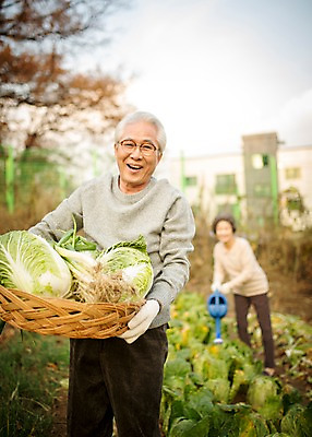 포토 JPG 주간 여자 할아버지 노년 남자 할머니 여유 서기 미소 들기 상반신 야외 두명 앞모습 옆모습 아웃포커스 실버라이프 바구니 노부부 물뿌리개 한국인 60대 즐거움 배추 원예 배추재배 노인만 국내포토 자연요소 라이프스타일 부부 감정 뷰포인트 채소 모션 촬영기법 표정 사람 동양인 성인 취미 성인만 파일형식