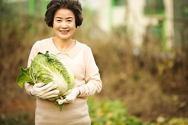 포토 JPG 주간 여자 노년 할머니 여유 한명 서기 미소 들기 상반신 야외 앞모습 실버라이프 한국인 60대 즐거움 배추 원예 배추재배 노인여자한명만 국내포토 자연요소 1 라이프스타일 감정 뷰포인트 채소 모션 표정 사람 동양인 성인 취미 여자한명만 노인여자만 파일형식