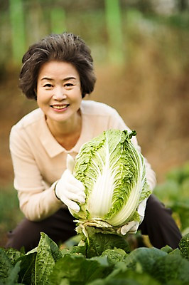 포토 JPG 주간 여자 노년 할머니 여유 한명 서기 미소 들기 상반신 야외 앞모습 실버라이프 한국인 60대 즐거움 배추 원예 배추재배 노인여자한명만 국내포토 자연요소 1 라이프스타일 감정 뷰포인트 채소 모션 표정 사람 동양인 성인 취미 여자한명만 노인여자만 파일형식