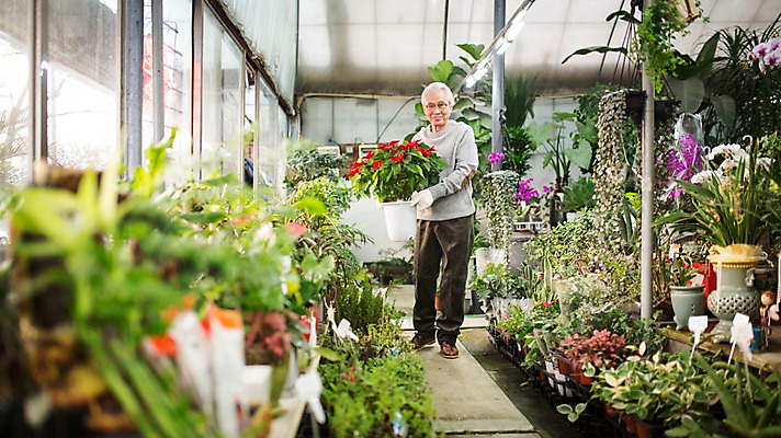 포토 JPG 전신 할아버지 노년 남자 꽃 화분 여유 실내 한명 서기 들기 앞모습 실버라이프 한국인 60대 꽃집 원예 노인남자한명만 국내포토 식물 1 라이프스타일 감정 뷰포인트 모션 사람 동양인 성인 취미 내부 상점 남자한명만 노인남자만 파일형식