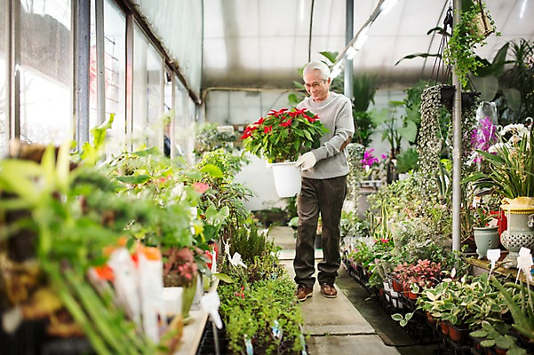 포토 JPG 전신 할아버지 노년 남자 꽃 화분 여유 실내 한명 서기 들기 앞모습 실버라이프 한국인 60대 꽃집 원예 노인남자한명만 국내포토 식물 1 라이프스타일 감정 뷰포인트 모션 사람 동양인 성인 취미 내부 상점 남자한명만 노인남자만 파일형식