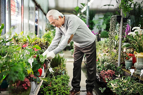 포토 JPG 전신 할아버지 노년 남자 꽃 여유 실내 한명 서기 옆모습 실버라이프 한국인 60대 꽃집 원예 꽃가꾸기 노인남자한명만 국내포토 식물 1 라이프스타일 감정 뷰포인트 모션 사람 동양인 성인 취미 내부 상점 남자한명만 노인남자만 파일형식