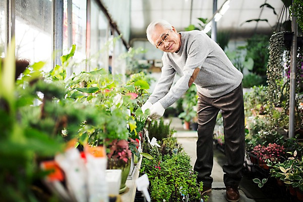 포토 JPG 전신 할아버지 노년 남자 꽃 여유 실내 한명 서기 옆모습 실버라이프 한국인 60대 꽃집 원예 꽃가꾸기 노인남자한명만 국내포토 식물 1 라이프스타일 감정 뷰포인트 모션 사람 동양인 성인 취미 내부 상점 남자한명만 노인남자만 파일형식