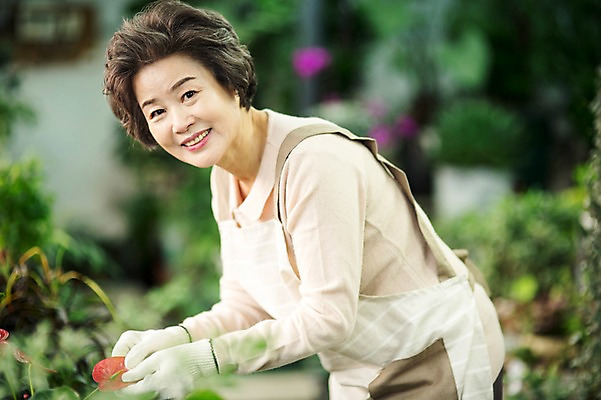 포토 JPG 여자 노년 꽃 할머니 여유 실내 한명 서기 미소 상반신 옆모습 실버라이프 한국인 60대 꽃집 원예 꽃가꾸기 노인여자한명만 국내포토 식물 1 라이프스타일 감정 뷰포인트 모션 표정 사람 동양인 성인 취미 내부 상점 여자한명만 노인여자만 파일형식