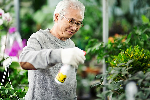 포토 JPG 할아버지 노년 남자 꽃 여유 실내 한명 서기 미소 상반신 앞모습 실버라이프 한국인 60대 꽃집 즐거움 원예 꽃가꾸기 노인남자한명만 국내포토 식물 1 라이프스타일 감정 뷰포인트 모션 표정 사람 동양인 성인 취미 내부 상점 남자한명만 노인남자만 파일형식