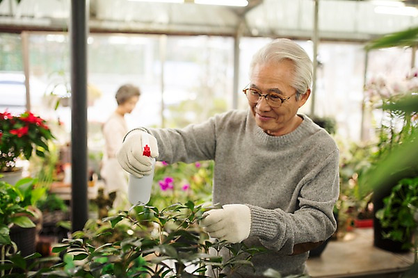포토 JPG 여자 할아버지 노년 남자 할머니 여유 실내 서기 미소 상반신 두명 앞모습 아웃포커스 실버라이프 한국인 60대 꽃집 원예 꽃가꾸기 노인만 국내포토 라이프스타일 감정 뷰포인트 모션 촬영기법 표정 사람 동양인 성인 취미 내부 상점 성인만 파일형식