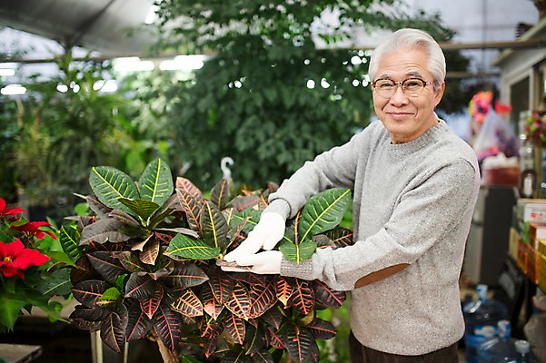 포토 JPG 할아버지 노년 남자 꽃 여유 실내 한명 서기 미소 상반신 옆모습 실버라이프 한국인 60대 꽃집 원예 꽃가꾸기 노인남자한명만 국내포토 식물 1 라이프스타일 감정 뷰포인트 모션 표정 사람 동양인 성인 취미 내부 상점 남자한명만 노인남자만 파일형식