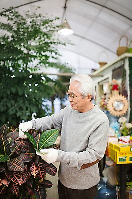 포토 JPG 할아버지 노년 남자 꽃 여유 실내 한명 서기 미소 상반신 옆모습 실버라이프 한국인 60대 꽃집 원예 꽃가꾸기 노인남자한명만 국내포토 식물 1 라이프스타일 감정 뷰포인트 모션 표정 사람 동양인 성인 취미 내부 상점 남자한명만 노인남자만 파일형식