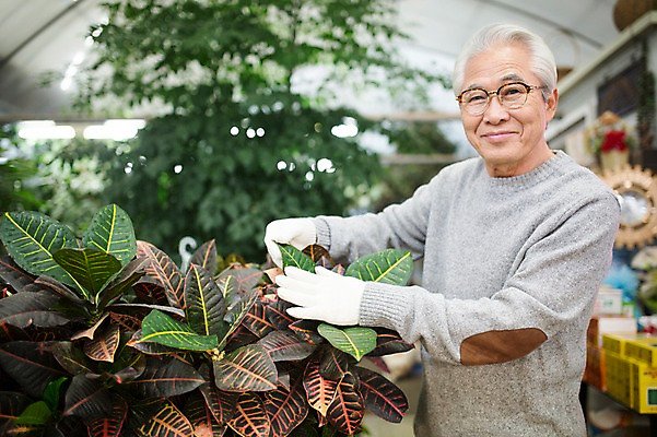포토 JPG 할아버지 노년 남자 꽃 여유 실내 한명 서기 미소 상반신 옆모습 실버라이프 한국인 60대 꽃집 원예 꽃가꾸기 노인남자한명만 국내포토 식물 1 라이프스타일 감정 뷰포인트 모션 표정 사람 동양인 성인 취미 내부 상점 남자한명만 노인남자만 파일형식