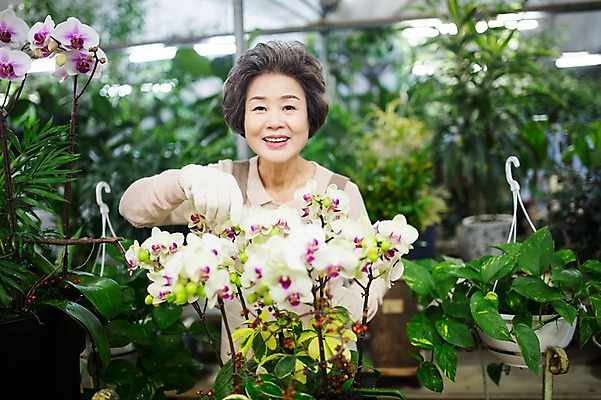 포토 JPG 여자 노년 꽃 할머니 여유 실내 한명 서기 미소 상반신 앞모습 실버라이프 한국인 60대 꽃집 원예 꽃가꾸기 노인여자한명만 국내포토 식물 1 라이프스타일 감정 뷰포인트 모션 표정 사람 동양인 성인 취미 내부 상점 여자한명만 노인여자만 파일형식