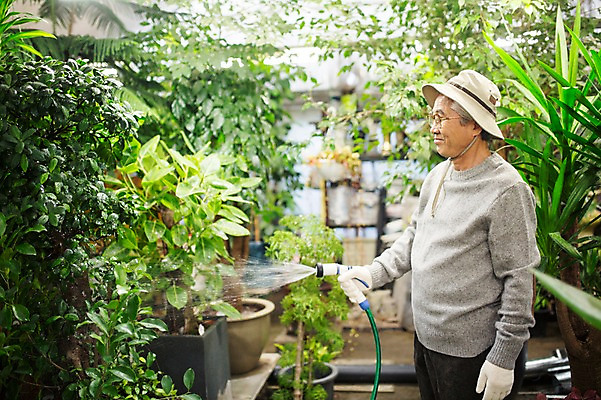 포토 JPG 할아버지 노년 남자 여유 실내 한명 서기 미소 들기 상반신 옆모습 실버라이프 물뿌리개 한국인 60대 꽃집 원예 꽃가꾸기 노인남자한명만 국내포토 1 라이프스타일 감정 뷰포인트 모션 표정 사람 동양인 성인 취미 내부 상점 남자한명만 노인남자만 파일형식