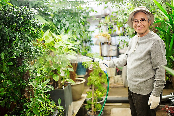 포토 JPG 할아버지 노년 남자 여유 실내 한명 서기 미소 들기 상반신 옆모습 실버라이프 물뿌리개 한국인 60대 꽃집 원예 꽃가꾸기 노인남자한명만 국내포토 1 라이프스타일 감정 뷰포인트 모션 표정 사람 동양인 성인 취미 내부 상점 남자한명만 노인남자만 파일형식