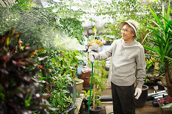 포토 JPG 할아버지 노년 남자 여유 실내 한명 서기 미소 들기 상반신 옆모습 실버라이프 물뿌리개 한국인 60대 꽃집 원예 꽃가꾸기 노인남자한명만 국내포토 1 라이프스타일 감정 뷰포인트 모션 표정 사람 동양인 성인 취미 내부 상점 남자한명만 노인남자만 파일형식