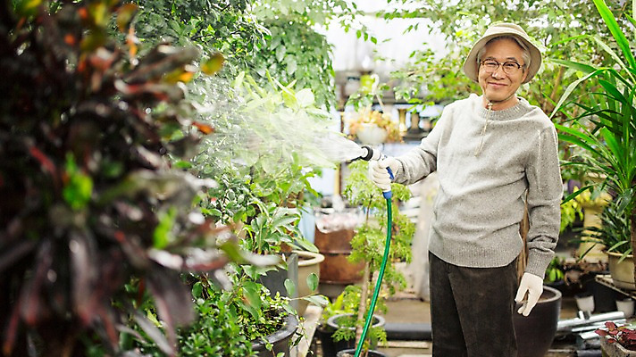 포토 JPG 할아버지 노년 남자 여유 실내 한명 서기 미소 들기 상반신 옆모습 실버라이프 물뿌리개 한국인 60대 꽃집 원예 꽃가꾸기 노인남자한명만 국내포토 1 라이프스타일 감정 뷰포인트 모션 표정 사람 동양인 성인 취미 내부 상점 남자한명만 노인남자만 파일형식