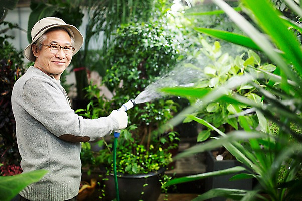 포토 JPG 할아버지 노년 남자 여유 실내 한명 서기 미소 들기 상반신 옆모습 실버라이프 물뿌리개 한국인 60대 꽃집 원예 꽃가꾸기 노인남자한명만 국내포토 1 라이프스타일 감정 뷰포인트 모션 표정 사람 동양인 성인 취미 내부 상점 남자한명만 노인남자만 파일형식