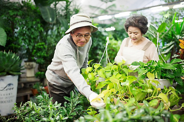 포토 JPG 여자 할아버지 노년 남자 할머니 여유 실내 서기 미소 상반신 두명 앞모습 실버라이프 노부부 다정 한국인 60대 꽃집 원예 꽃가꾸기 노인만 국내포토 라이프스타일 부부 감정 뷰포인트 컨셉 모션 표정 사람 동양인 성인 취미 내부 상점 성인만 파일형식