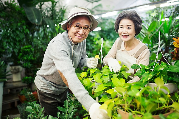 포토 JPG 여자 할아버지 노년 남자 할머니 여유 실내 서기 미소 상반신 두명 앞모습 실버라이프 노부부 다정 한국인 60대 꽃집 원예 꽃가꾸기 노인만 국내포토 라이프스타일 부부 감정 뷰포인트 컨셉 모션 표정 사람 동양인 성인 취미 내부 상점 성인만 파일형식
