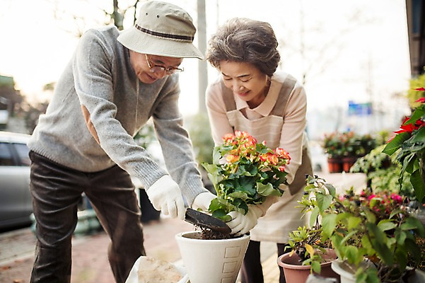 포토 JPG 주간 여자 할아버지 노년 남자 화분 할머니 여유 서기 상반신 야외 두명 옆모습 실버라이프 노부부 다정 한국인 60대 꽃집 원예 꽃가꾸기 노인만 국내포토 자연요소 라이프스타일 부부 감정 뷰포인트 컨셉 모션 사람 동양인 성인 취미 상점 성인만 파일형식
