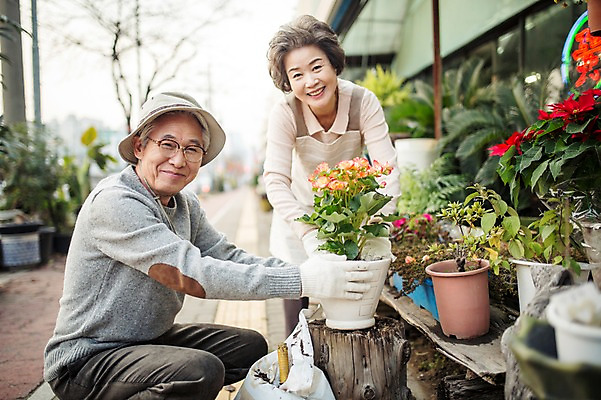 포토 JPG 주간 여자 할아버지 노년 남자 화분 할머니 여유 서기 상반신 야외 두명 옆모습 실버라이프 노부부 다정 한국인 60대 꽃집 원예 꽃가꾸기 노인만 국내포토 자연요소 라이프스타일 부부 감정 뷰포인트 컨셉 모션 사람 동양인 성인 취미 상점 성인만 파일형식