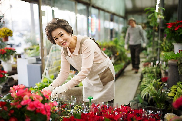 포토 JPG 여자 노년 꽃 화분 할머니 여유 실내 한명 서기 미소 들기 상반신 앞모습 실버라이프 한국인 60대 꽃집 원예 노인여자한명만 국내포토 식물 1 라이프스타일 감정 뷰포인트 모션 표정 사람 동양인 성인 취미 내부 상점 여자한명만 노인여자만 파일형식