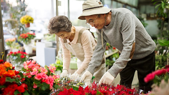 포토 JPG 여자 할아버지 노년 남자 꽃 할머니 여유 실내 서기 미소 상반신 두명 앞모습 실버라이프 노부부 다정 한국인 60대 꽃집 원예 꽃가꾸기 노인만 국내포토 식물 라이프스타일 부부 감정 뷰포인트 컨셉 모션 표정 사람 동양인 성인 취미 내부 상점 성인만 파일형식