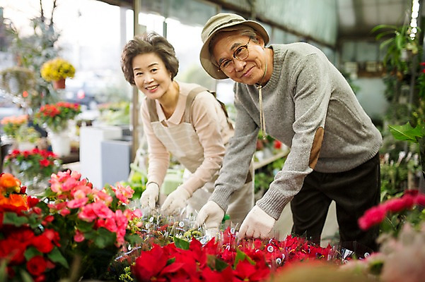 포토 JPG 여자 할아버지 노년 남자 꽃 할머니 여유 실내 서기 미소 상반신 두명 앞모습 실버라이프 노부부 다정 한국인 60대 꽃집 원예 꽃가꾸기 노인만 국내포토 식물 라이프스타일 부부 감정 뷰포인트 컨셉 모션 표정 사람 동양인 성인 취미 내부 상점 성인만 파일형식