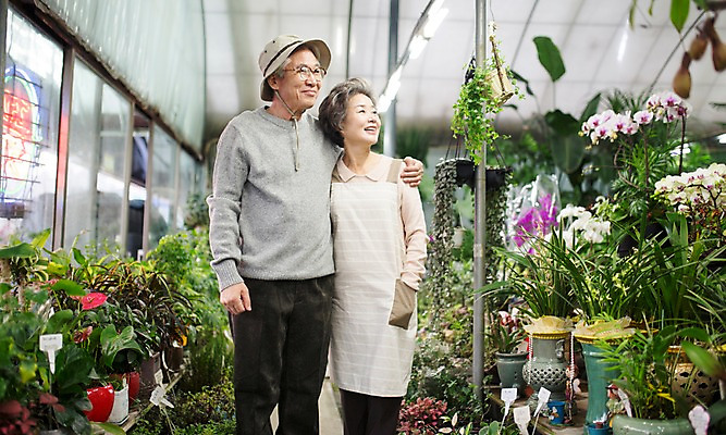 포토 JPG 여자 할아버지 노년 남자 할머니 여유 어깨동무 실내 서기 미소 상반신 두명 앞모습 실버라이프 노부부 다정 한국인 60대 꽃집 원예 노인만 국내포토 라이프스타일 부부 감정 뷰포인트 포즈 컨셉 모션 표정 사람 동양인 성인 취미 내부 상점 성인만 파일형식