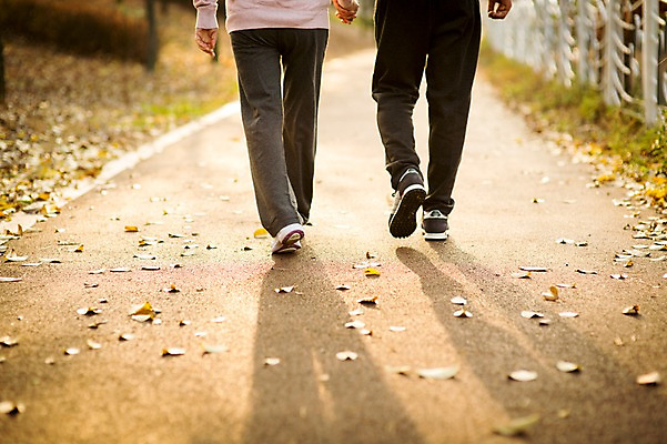 포토 JPG 주간 공원 여자 할아버지 노년 남자 할머니 야외 두명 뒷모습 실버라이프 걷기 손잡기 노부부 다정 산책 한국인 하반신 60대 노인만 국내포토 자연요소 라이프스타일 부부 공공시설 뷰포인트 컨셉 모션 휴식 사람 동양인 성인 성인만 파일형식