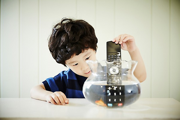 포토 JPG 남자 어린이라이프 어린이 장난 실내 한명 앉기 소년 상반신 앞모습 한국인 리모컨 어항 즐거움 넣기 어린이만 소년한명만 국내포토 1 라이프스타일 감정 뷰포인트 모션 사람 동양인 내부 남자한명만 소년만 파일형식