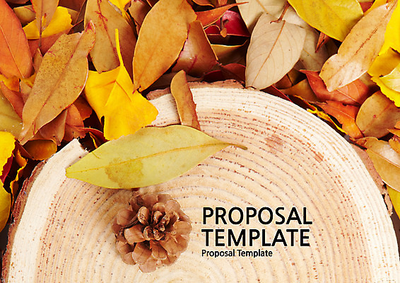 템플릿 표지 낙엽 나뭇잎 사람없음 프레젠테이션 문서템플릿 서식 레이아웃 문서 제안서 솔방울 나이테 이미지템플릿 AI파일 나무 잎 파일형식 벡터