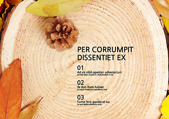 템플릿 내지 낙엽 나뭇잎 사람없음 프레젠테이션 문서템플릿 서식 레이아웃 문서 제안서 솔방울 나이테 목차 이미지템플릿 AI파일 나무 잎 파일형식 벡터