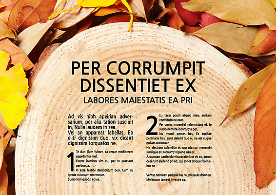 템플릿 내지 낙엽 나뭇잎 사람없음 프레젠테이션 문서템플릿 서식 레이아웃 문서 은행잎 제안서 나이테 이미지템플릿 AI파일 나무 잎 파일형식 벡터