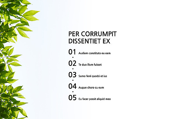 템플릿 내지 나뭇잎 사람없음 프레젠테이션 문서템플릿 서식 레이아웃 문서 제안서 목차 이미지템플릿 AI파일 잎 파일형식 벡터