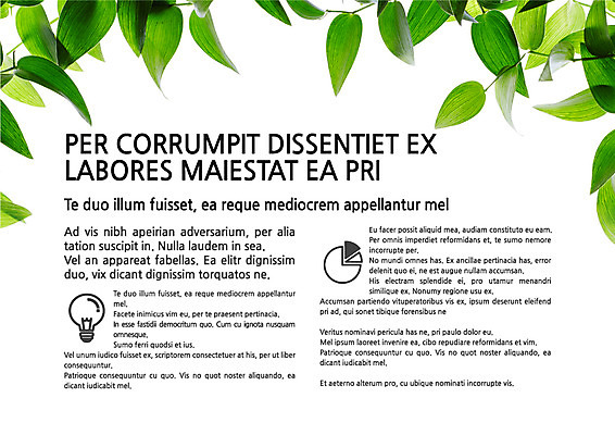 템플릿 내지 나뭇잎 사람없음 프레젠테이션 문서템플릿 서식 레이아웃 문서 제안서 이미지템플릿 AI파일 잎 파일형식 벡터