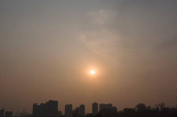 포토 JPG 주간 나무 백그라운드 자연 하늘 아파트 풍경 사람없음 야외 태양 일몰 봄 도시 국내포토 자연요소 식물 계절 주택 노을 생태계 파일형식