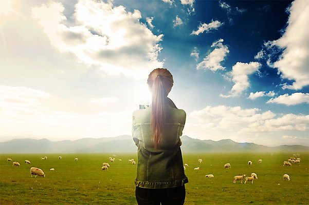 PSD 구름 편집이미지 여자 여행 여러마리 자연 하늘 산 한명 서기 풍경 초원 상반신 성인 뒷모습 양 방목 디지털합성 합성 청자켓 포니테일 이미지편집 자연요소 1 헤어스타일 뷰포인트 다수 포유류 모션 사람 재킷 축산업 생태계 파일형식